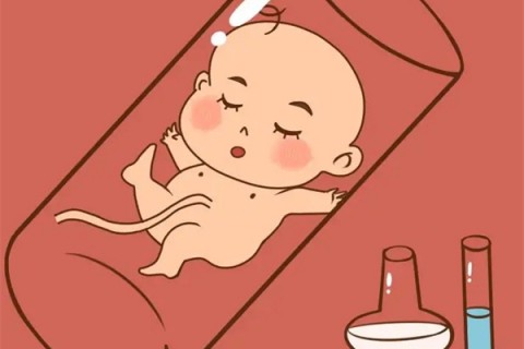http://ndren.com.cn/post/205.html|服务项目